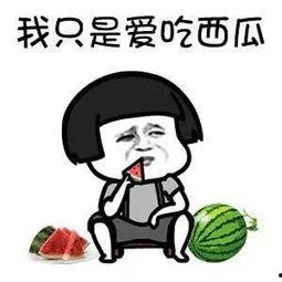 吃瓜娱乐人,品味人生百态