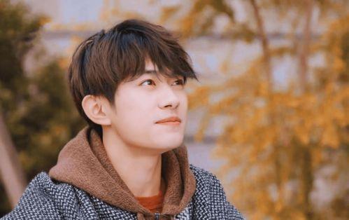 娱乐吃瓜明星团宠小说推荐,团宠明星的甜蜜瓜田之旅