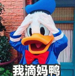 娱乐吃瓜君鸭,揭秘娱乐圈那些不为人知的幕后故事