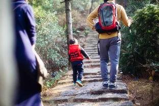 娱乐吃瓜酱爬山