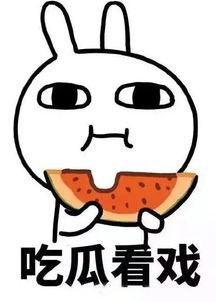 娱乐吃瓜酱内向