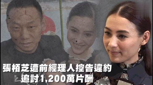 美国娱乐吃瓜,揭秘明星们的“吃瓜”生活