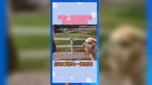 娱乐吃瓜推荐,明星们的幕后故事与吃瓜指南